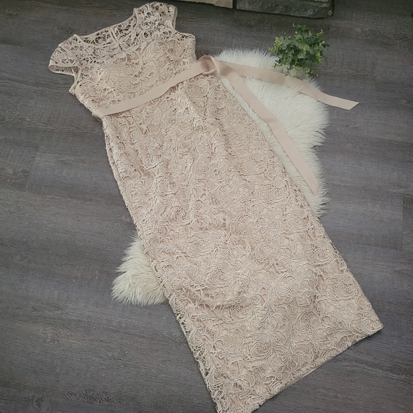 Adrianna PapellCap-Sleeve Illusion Lace Gown Size 14 - Picture 5 of 16